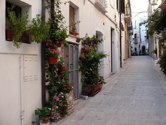 Residenza Borgo Antico Βίλα Termoli Εξωτερικό φωτογραφία
